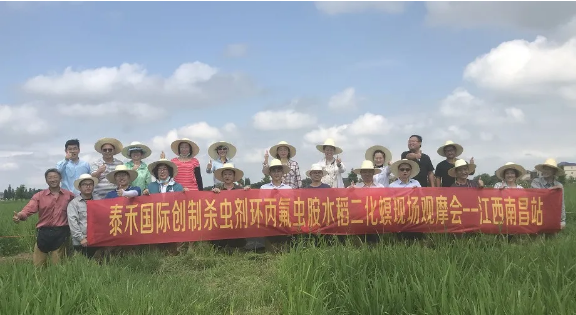 水稻二化螟为害肆意放肆 环丙氟虫胺脱手技惊四座 ——立异杀虫剂环丙氟虫胺水稻二化螟药效田试年内首秀